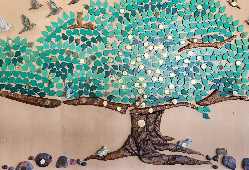 photo: marianhill foundation tree of life