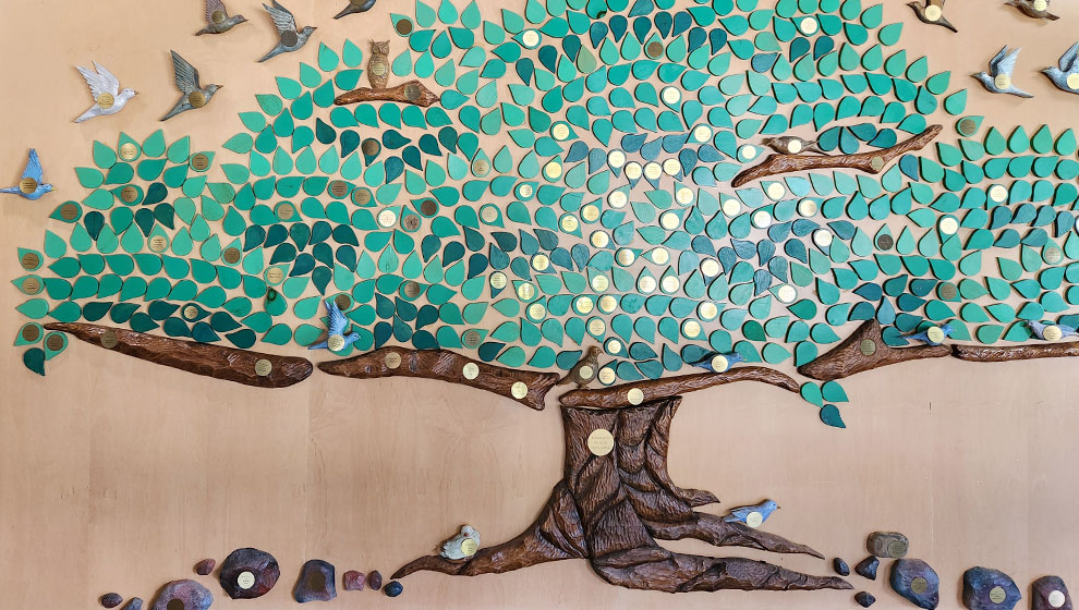 photo: marianhill foundation tree of life